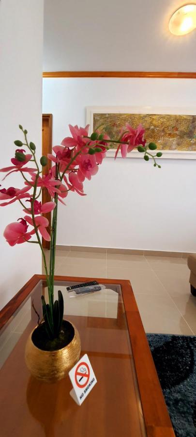 Le Chant De Merle Self -Catering Studios And Apartments Mahe Island ภายนอก รูปภาพ