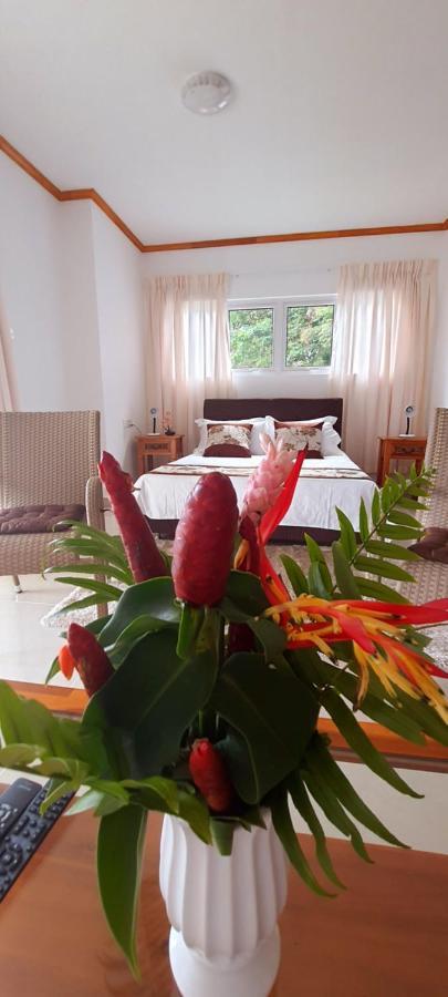 Le Chant De Merle Self -Catering Studios And Apartments Mahe Island ภายนอก รูปภาพ