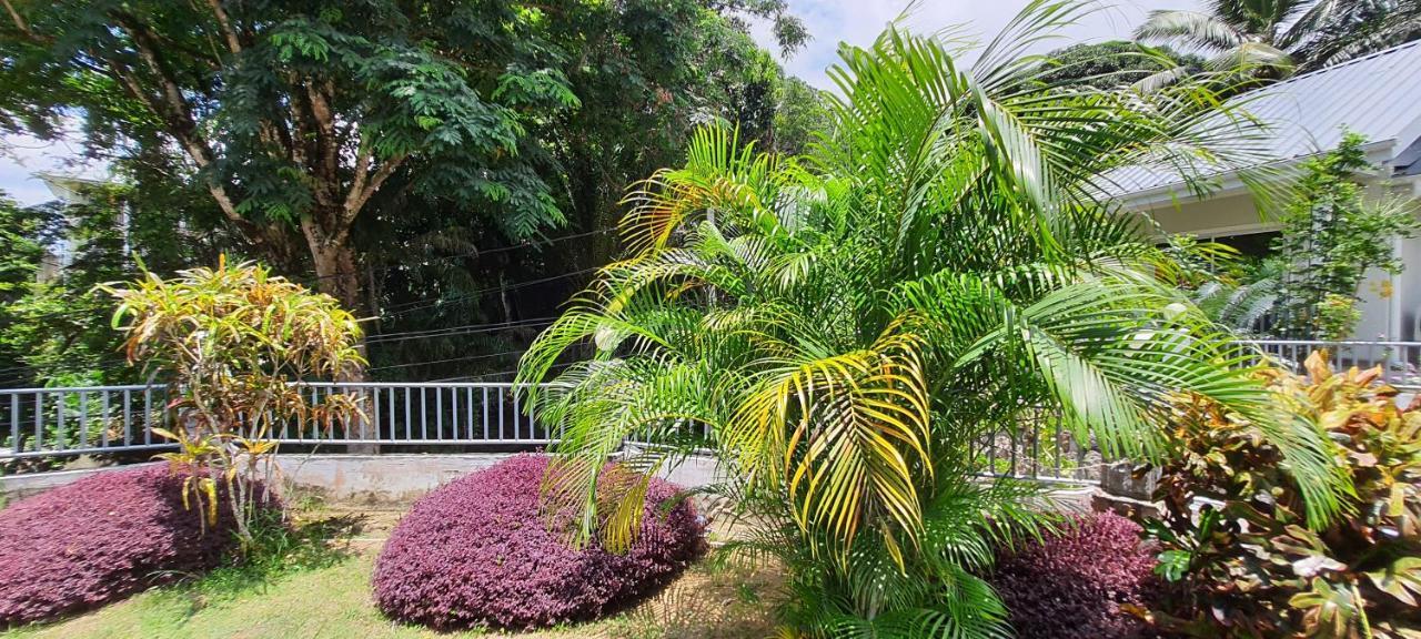 Le Chant De Merle Self -Catering Studios And Apartments Mahe Island ภายนอก รูปภาพ