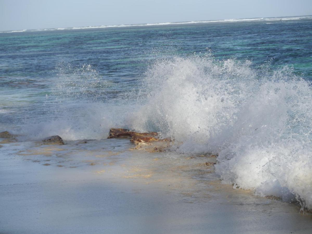Le Chant De Merle Self -Catering Studios And Apartments Mahe Island ภายนอก รูปภาพ